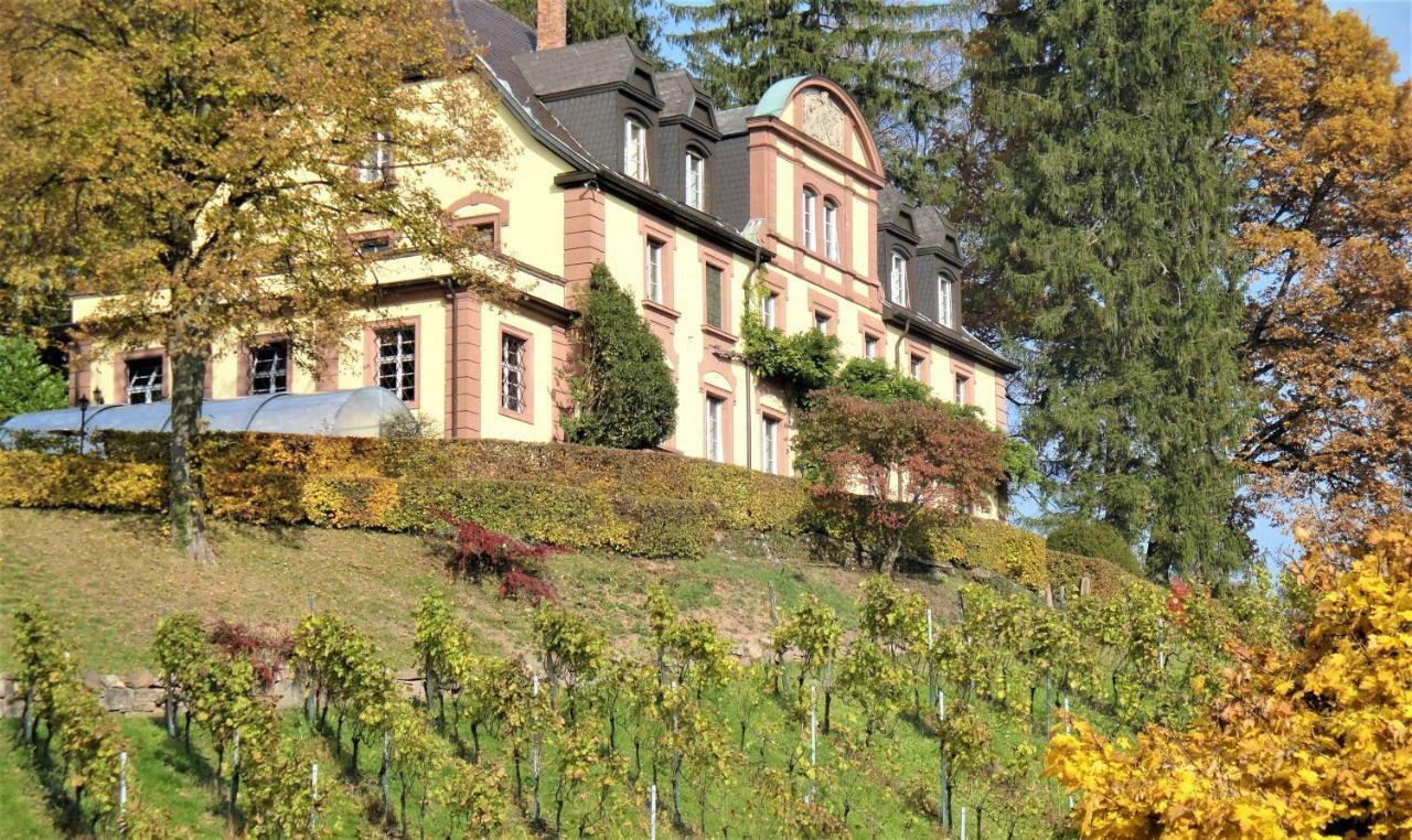 Wein Lodge Durbach - Josephsberg Eksteriør billede